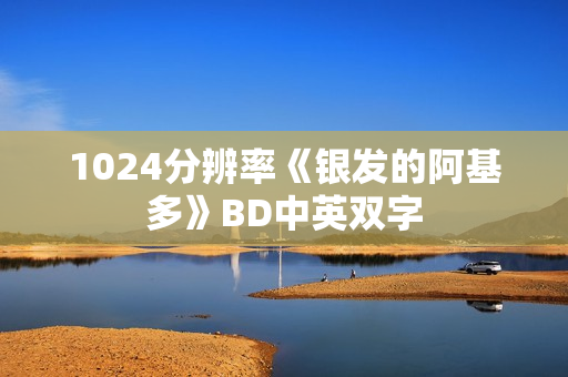 1024分辨率《银发的阿基多》BD中英双字
