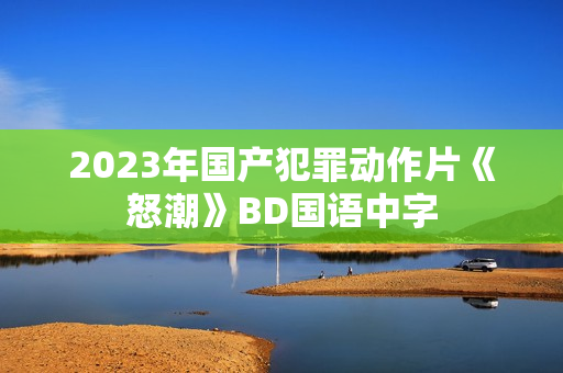 2023年国产犯罪动作片《怒潮》BD国语中字
