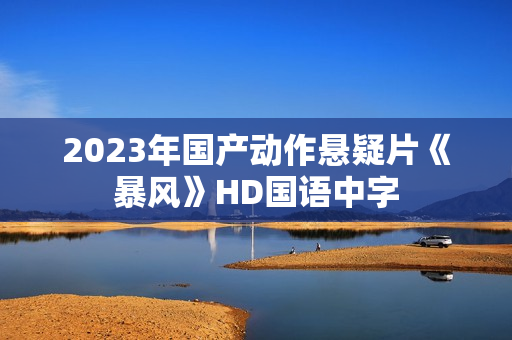 2023年国产动作悬疑片《暴风》HD国语中字