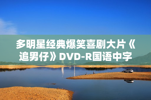 多明星经典爆笑喜剧大片《追男仔》DVD-R国语中字