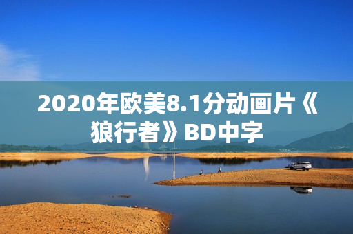 2020年欧美8.1分动画片《狼行者》BD中字