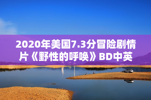 2020年美国7.3分冒险剧情片《野性的呼唤》BD中英双字