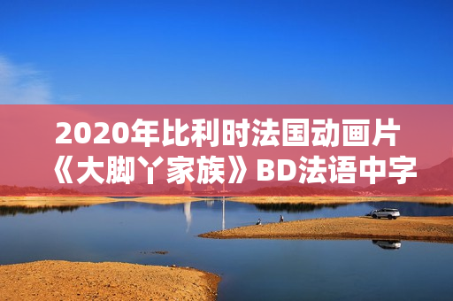 2020年比利时法国动画片《大脚丫家族》BD法语中字