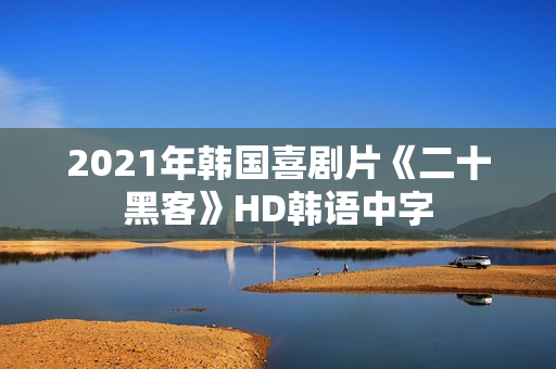 2021年韩国喜剧片《二十黑客》HD韩语中字