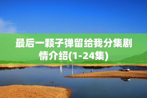 最后一颗子弹留给我分集剧情介绍(1-24集)