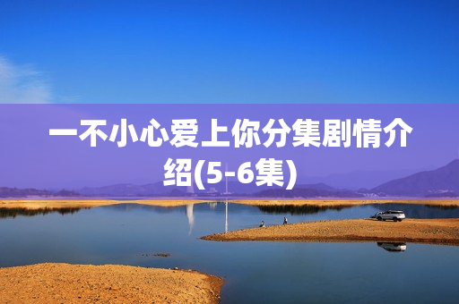 一不小心爱上你分集剧情介绍(5-6集)