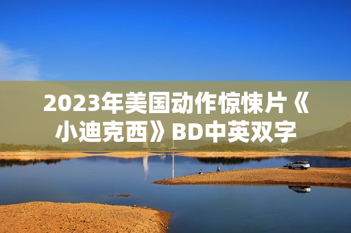 2023年美国动作惊悚片《小迪克西》BD中英双字 2023年美国动作惊悚片《小迪克西》BD中英双字