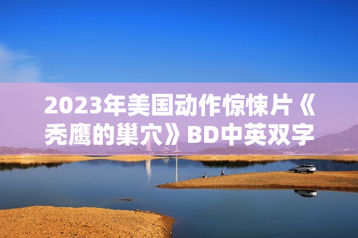 2023年美国动作惊悚片《秃鹰的巢穴》BD中英双字