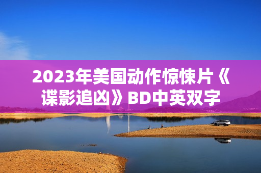 2023年美国动作惊悚片《谍影追凶》BD中英双字
