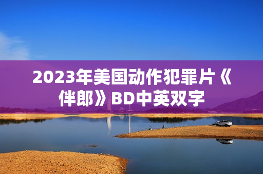 2023年美国动作犯罪片《伴郎》BD中英双字 2023年美国动作犯罪片《伴郎》BD中英双字