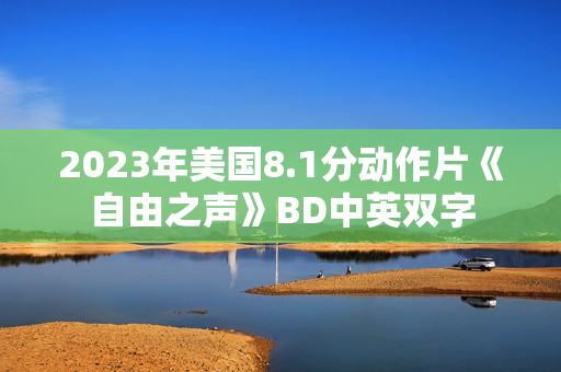 2023年美国8.1分动作片《自由之声》BD中英双字
