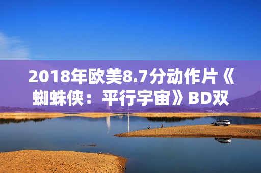 2018年欧美8.7分动作片《蜘蛛侠：平行宇宙》BD双语双字