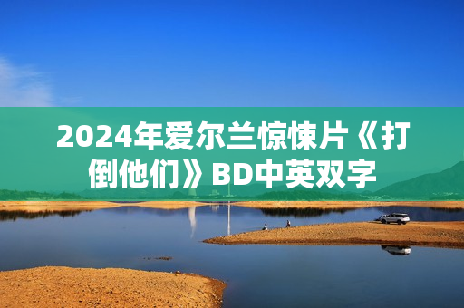 2024年爱尔兰惊悚片《打倒他们》BD中英双字