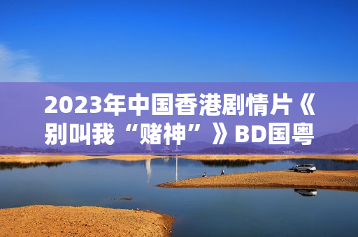 2023年中国香港剧情片《别叫我“赌神”》BD国粤双语中字