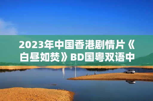 2023年中国香港剧情片《白昼如焚》BD国粤双语中字