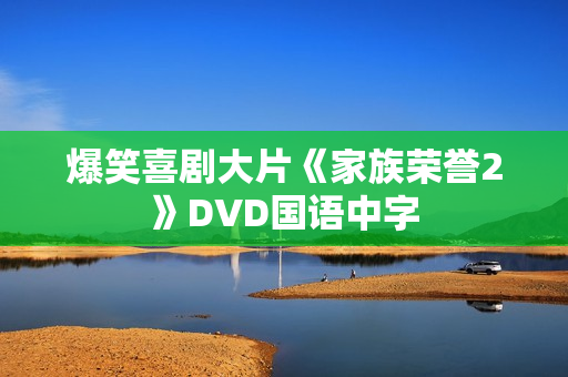 爆笑喜剧大片《家族荣誉2》DVD国语中字