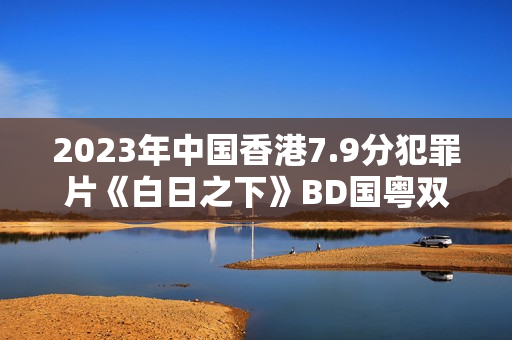 2023年中国香港7.9分犯罪片《白日之下》BD国粤双语中字