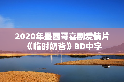 2020年墨西哥喜剧爱情片《临时奶爸》BD中字