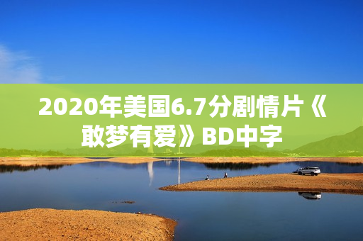 2020年美国6.7分剧情片《敢梦有爱》BD中字