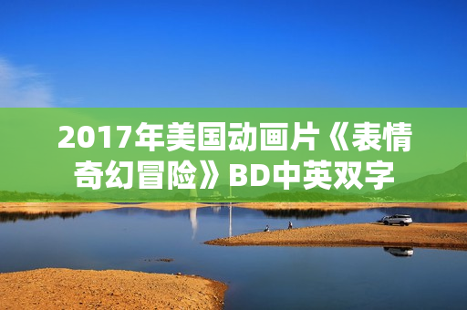 2017年美国动画片《表情奇幻冒险》BD中英双字