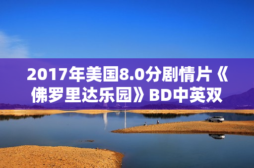 2017年美国8.0分剧情片《佛罗里达乐园》BD中英双字
