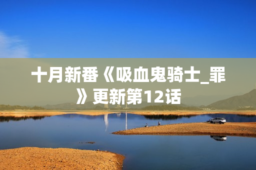 十月新番《吸血鬼骑士_罪》更新第12话