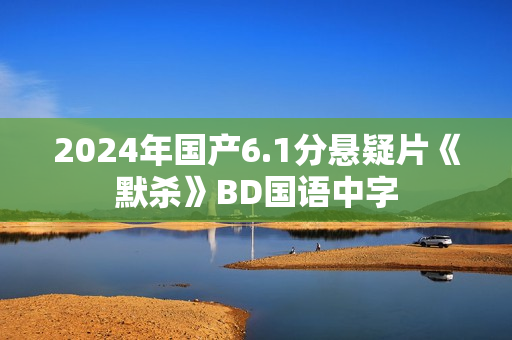 2024年国产6.1分悬疑片《默杀》BD国语中字
