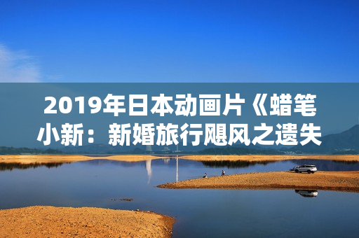 2019年日本动画片《蜡笔小新：新婚旅行飓风之遗失的野原广志》BD国粤日语中字