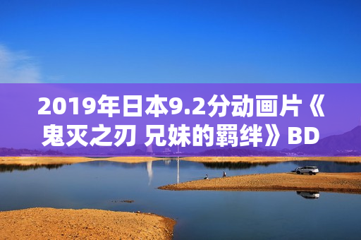 2019年日本9.2分动画片《鬼灭之刃 兄妹的羁绊》BD日语中字