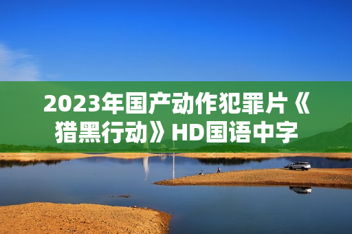 2023年国产动作犯罪片《猎黑行动》HD国语中字