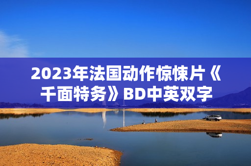 2023年法国动作惊悚片《千面特务》BD中英双字