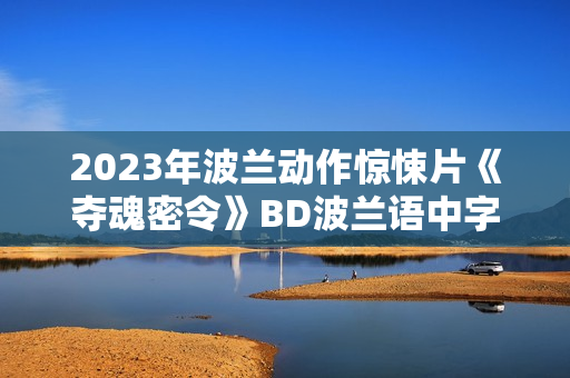 2023年波兰动作惊悚片《夺魂密令》BD波兰语中字