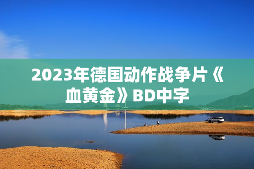2023年德国动作战争片《血黄金》BD中字