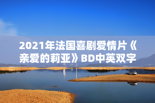 2021年法国喜剧爱情片《亲爱的莉亚》BD中英双字