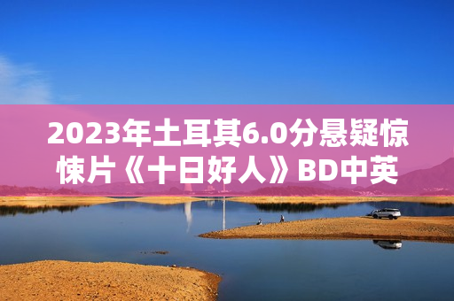 2023年土耳其6.0分悬疑惊悚片《十日好人》BD中英双字