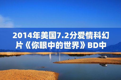 2014年美国7.2分爱情科幻片《你眼中的世界》BD中英双字