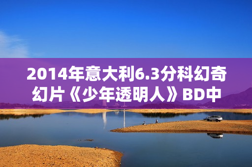2014年意大利6.3分科幻奇幻片《少年透明人》BD中英双字