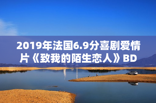 2019年法国6.9分喜剧爱情片《致我的陌生恋人》BD中字