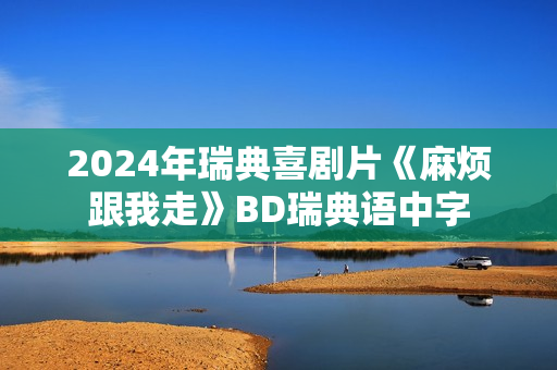 2024年瑞典喜剧片《麻烦跟我走》BD瑞典语中字 2024年瑞典喜剧片《麻烦跟我走》BD瑞典语中字