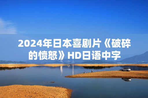 2024年日本喜剧片《破碎的愤怒》HD日语中字