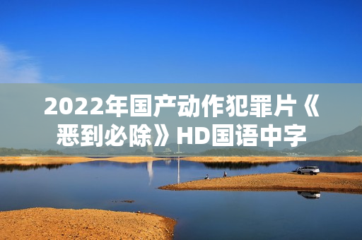 2022年国产动作犯罪片《恶到必除》HD国语中字
