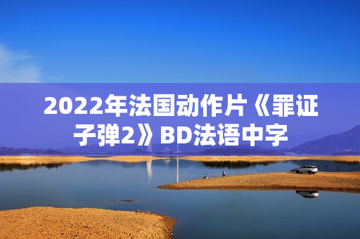 2022年法国动作片《罪证子弹2》BD法语中字