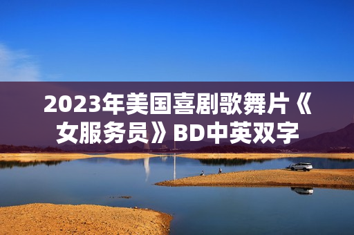 2023年美国喜剧歌舞片《女服务员》BD中英双字
