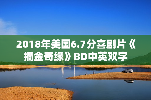2018年美国6.7分喜剧片《摘金奇缘》BD中英双字