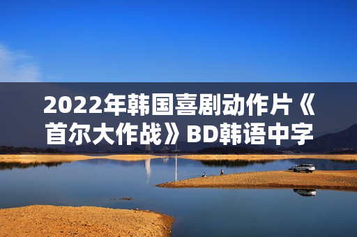 2022年韩国喜剧动作片《首尔大作战》BD韩语中字