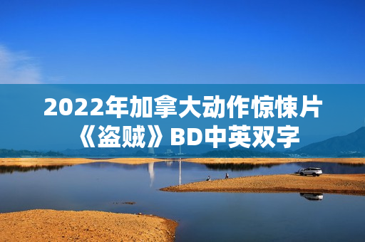 2022年加拿大动作惊悚片《盗贼》BD中英双字