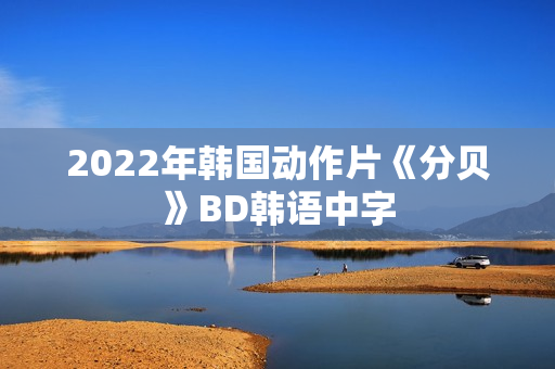 2022年韩国动作片《分贝》BD韩语中字