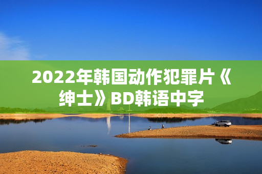 2022年韩国动作犯罪片《绅士》BD韩语中字