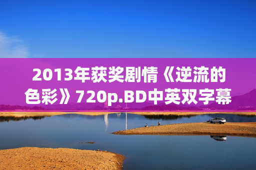 2013年获奖剧情《逆流的色彩》720p.BD中英双字幕