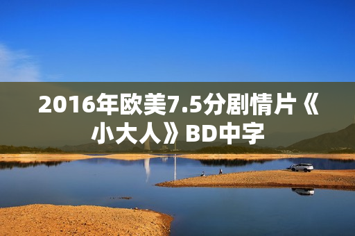 2016年欧美7.5分剧情片《小大人》BD中字